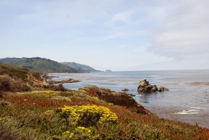 Coast Near Monterey