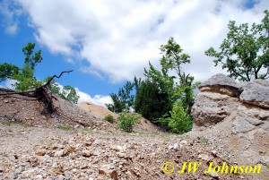 Even More Tailings Hickory Cane Mine