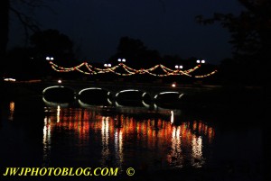 Reflective Bridge Bass Pro Independence