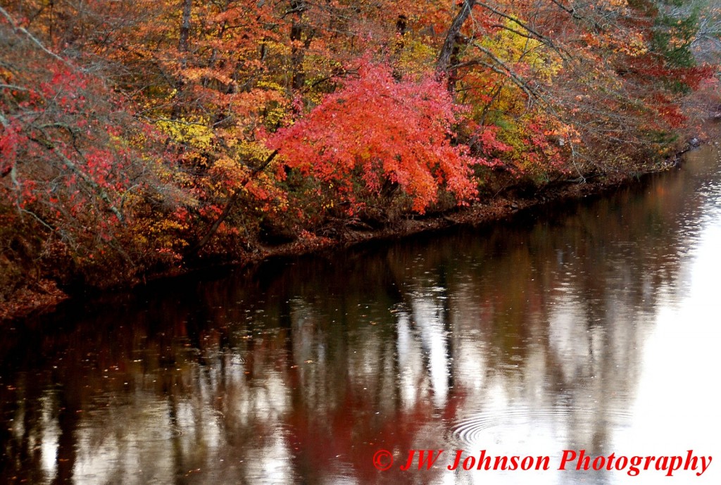 Fouche River Near Waldron Nov 2010