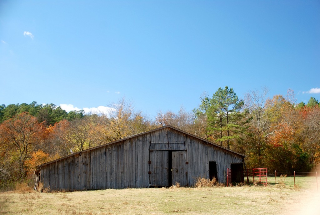 Grandpa`s Old Barn