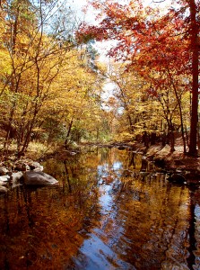 Gulpha Gorge Creek 2