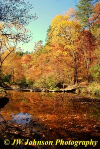 Gulpha Gorge Creek Nov 2010