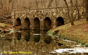 Turtle Rock Bridge 2