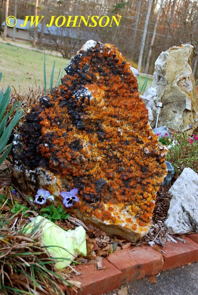 Large Skeletal Quartz Yardrock at Chets