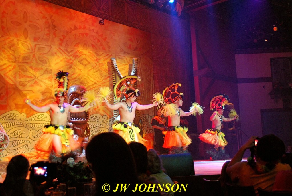 Polynesian Show Hula Dancers 5