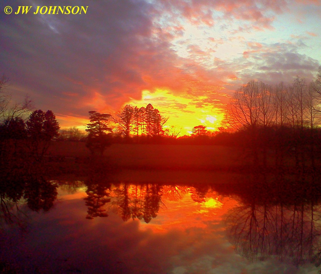 0223 Shaws Arboretum Lake 7