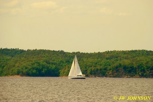 57 Sailboat On Lake Ouachita