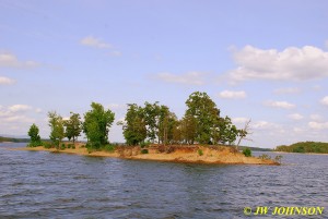 60 Memorial Island