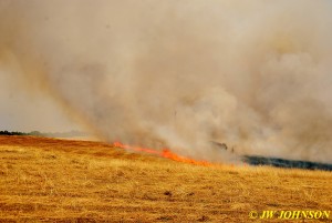 03 Head of Fire Races Tow Runway