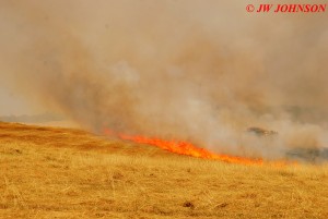 04 Head of Fire Brush Crew Inside