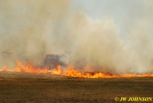 11 Pumper 814 Overtaken by Fire