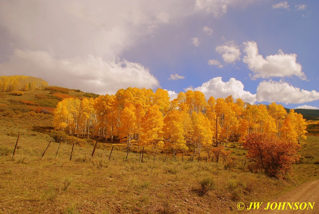 Aspen Grove Last Dollar Road 3