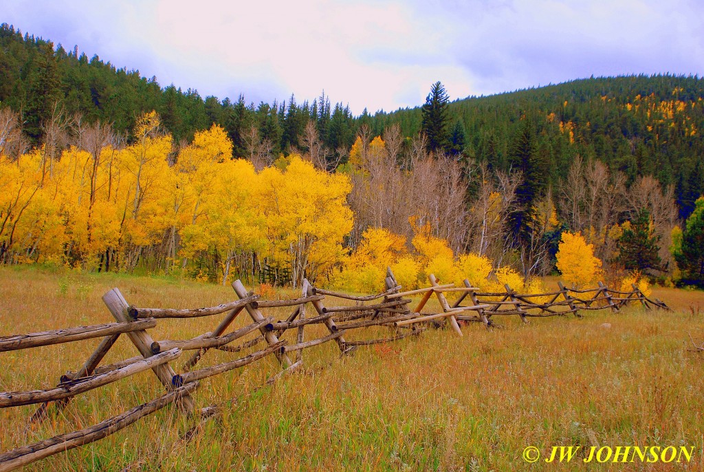 Aspen Pole Fence Foliage