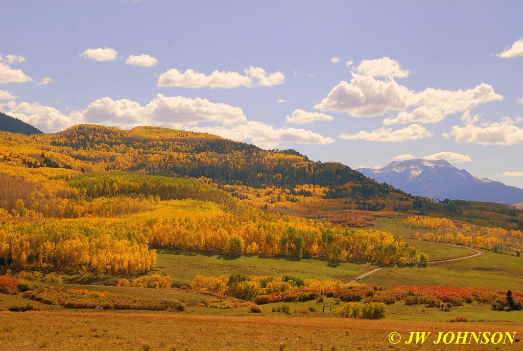 Aspens Base of Sneffels Range 4