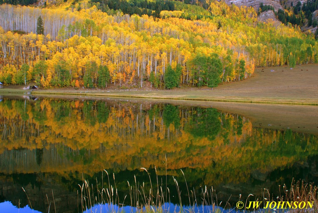 Aspens and Reflections Durango Area