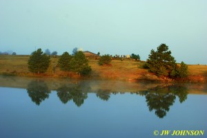 City Park Estes Park Lake Fog & Elk