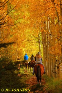 Horseback Riders in Aspen Grove 4