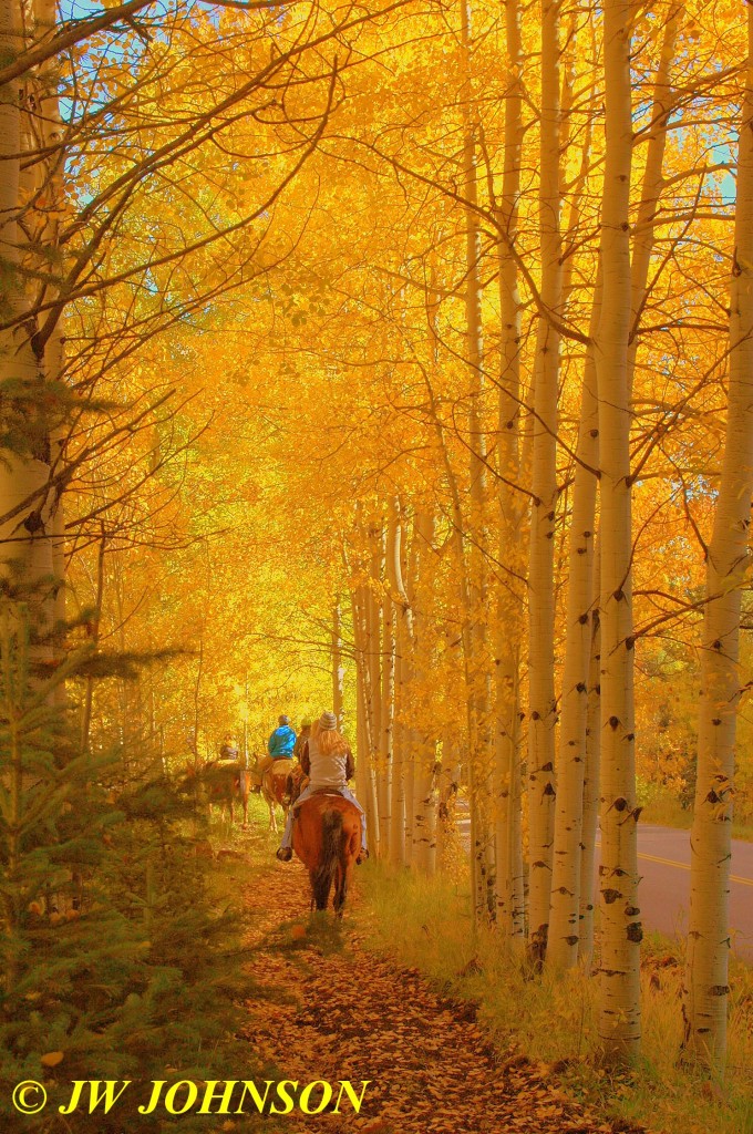 Horseback Riders in Aspen Grove