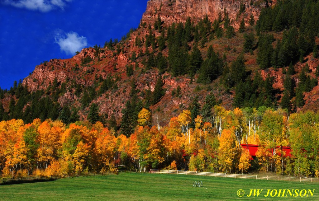 Maroon Valley Aspens 2