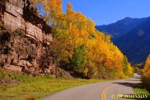 Maroon Valley Aspens