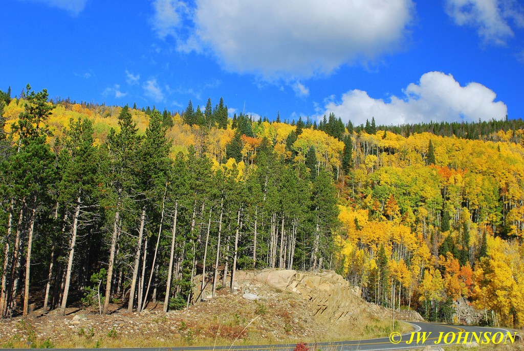 Road to Bear Lake RMNP