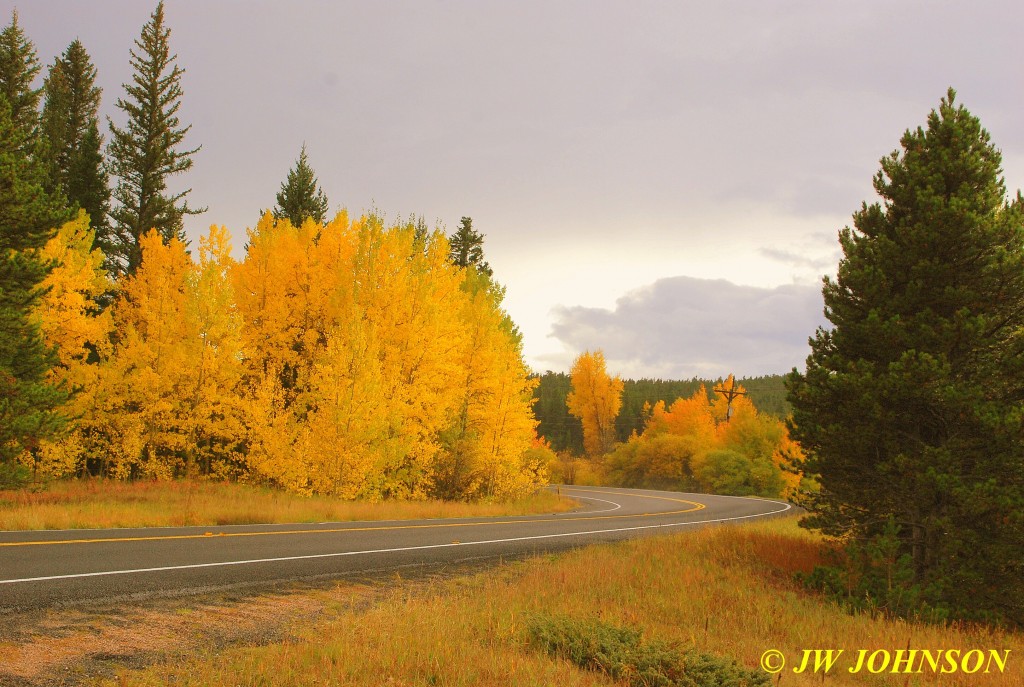 Roadside Color Peak to Peak Hwy 3