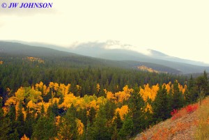 Roadside Color Peak to Peak Hwy