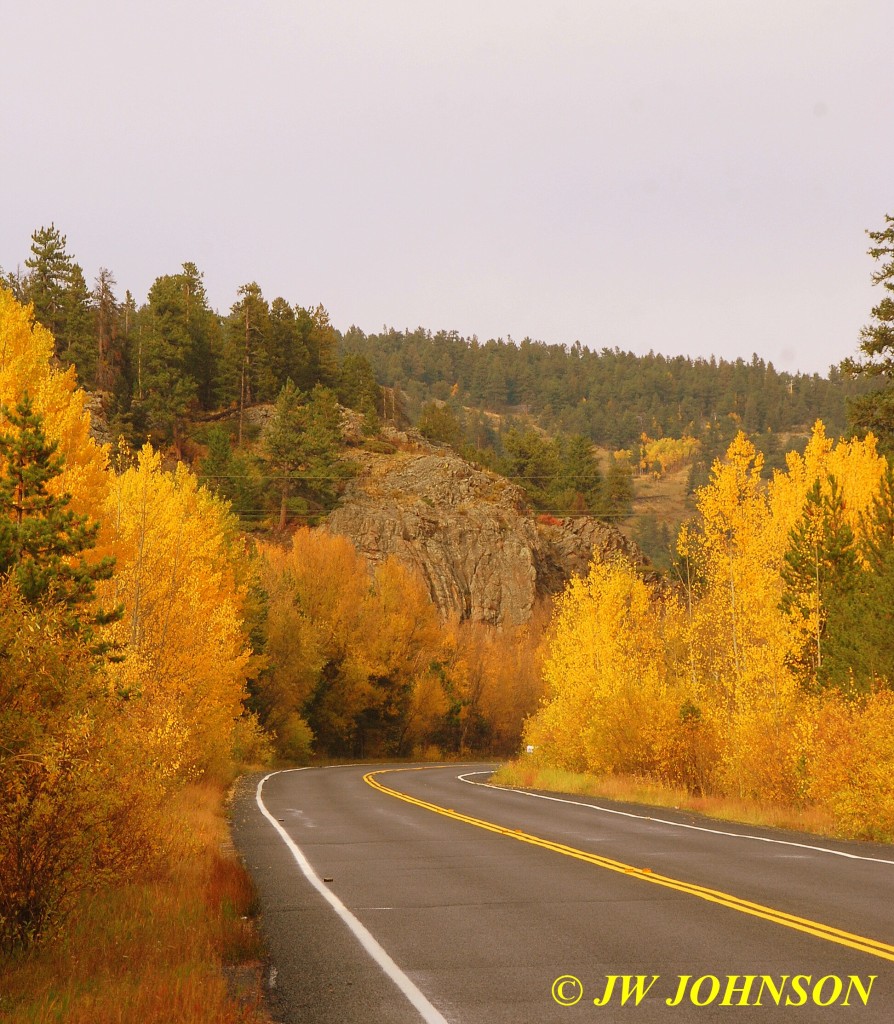 Roadside Color Peak to Peak Hwy 4