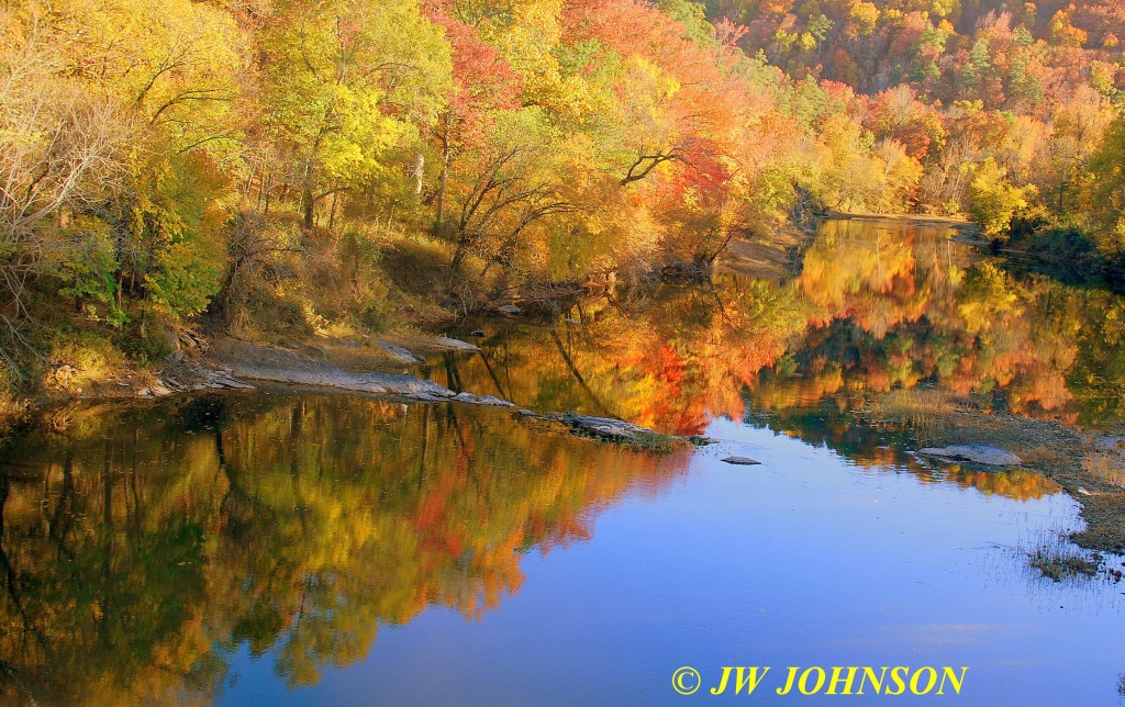 05 Ouachita River Reflections