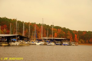50 Sailboats & Fall Colors
