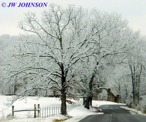 Hughes Ford Road Arch