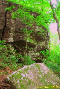 Huge Bluff Bottom of Escarpment