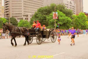 24A  Pretty Horse Pulling Carriage