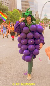 26 Grape Cluster Guy
