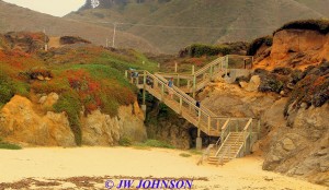 Dowd Creek Beach Stairway