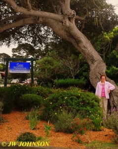 Mom With Sea Breeze Flowers