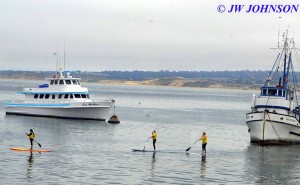 Monterey Harbor Fishermans Wharf 0920 4