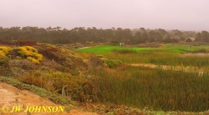 Pacific Grove Golf Course 3