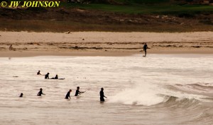 Surfers Galore
