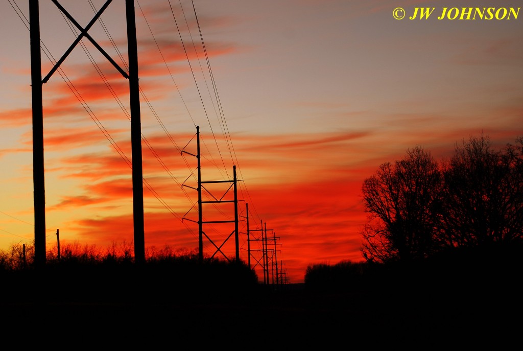 52 Powerlines Landon Rd 0119