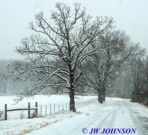 Hughes Ford Road Snowing 2