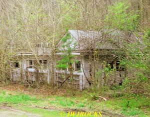 44 Old Monte Cristo Store