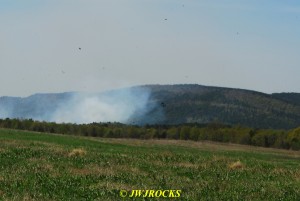 79 Forest Fire Smoke at Bates