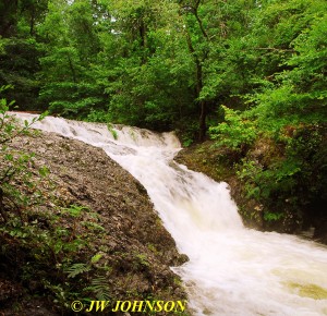 07 Cool Pool Falls Flood Stage